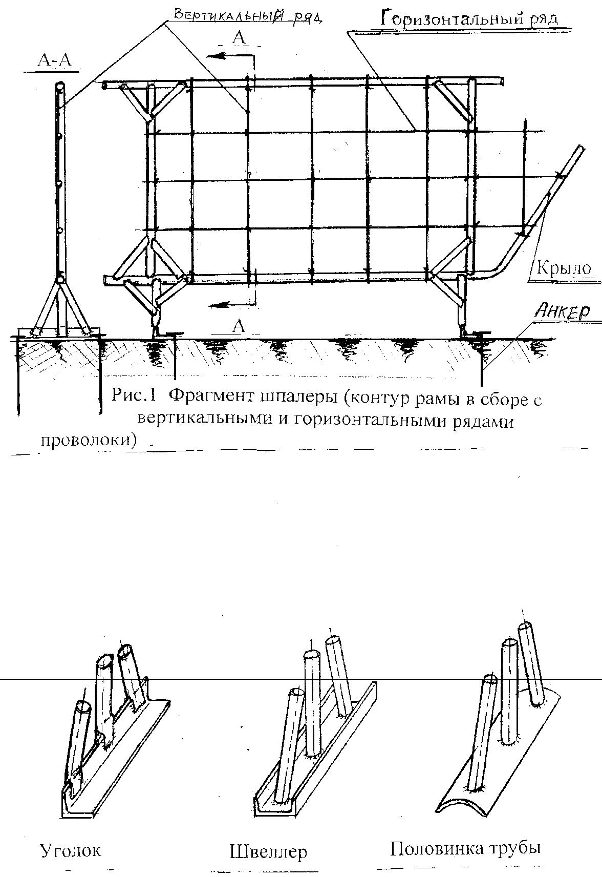 Статья 